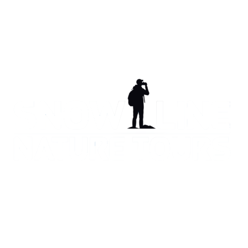 cropped-cropped-Snow-Line-logo-new-03_prev_ui.png